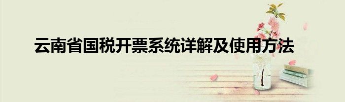 云南省国税开票系统详解及使用方法