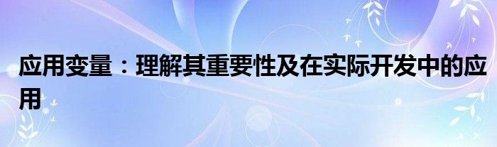 应用变量：理解其重要性及在实际开发中的应用
