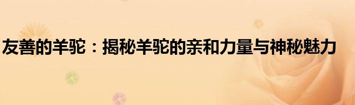 友善的羊驼：揭秘羊驼的亲和力量与神秘魅力