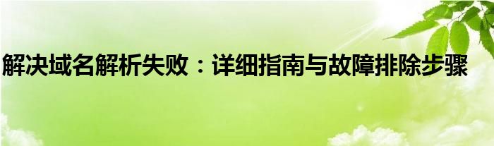解决域名解析失败：详细指南与故障排除步骤