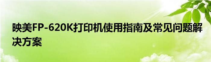 映美FP-620K打印机使用指南及常见问题解决方案