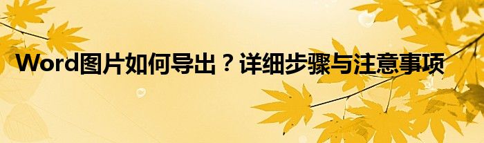 Word图片如何导出？详细步骤与注意事项