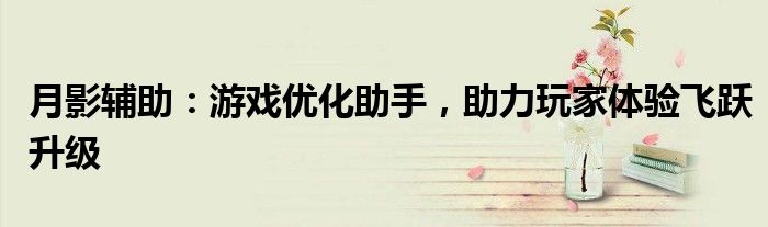 月影辅助：游戏优化助手，助力玩家体验飞跃升级