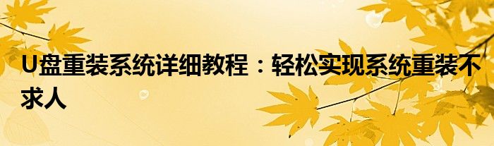 U盘重装系统详细教程：轻松实现系统重装不求人