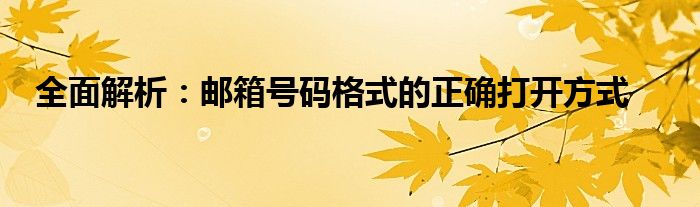 全面解析：邮箱号码格式的正确打开方式