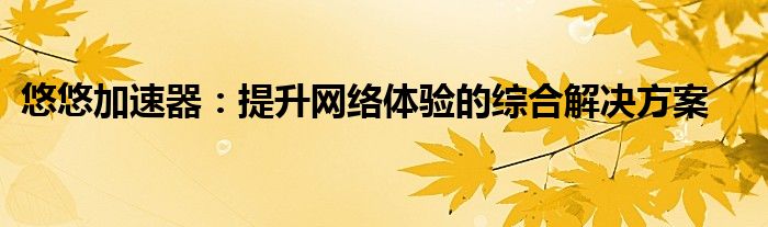 悠悠加速器：提升网络体验的综合解决方案