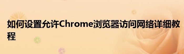 如何设置允许Chrome浏览器访问网络详细教程