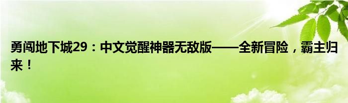 勇闯地下城29：中文觉醒神器无敌版——全新冒险，霸主归来！