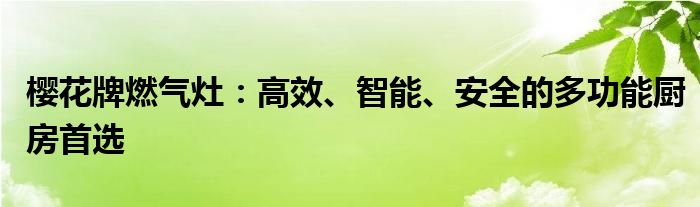 樱花牌燃气灶：高效、智能、安全的多功能厨房首选