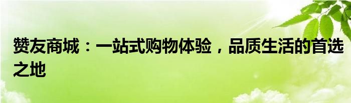赞友商城：一站式购物体验，品质生活的首选之地