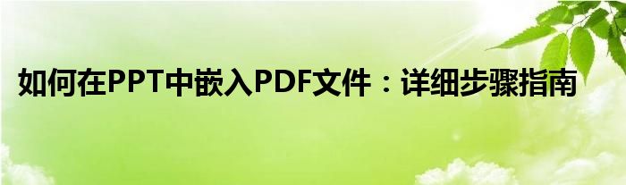 如何在PPT中嵌入PDF文件：详细步骤指南