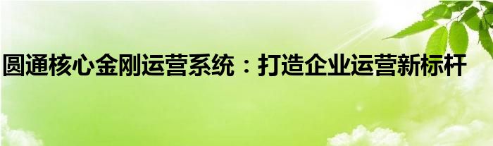 圆通核心金刚运营系统：打造企业运营新标杆