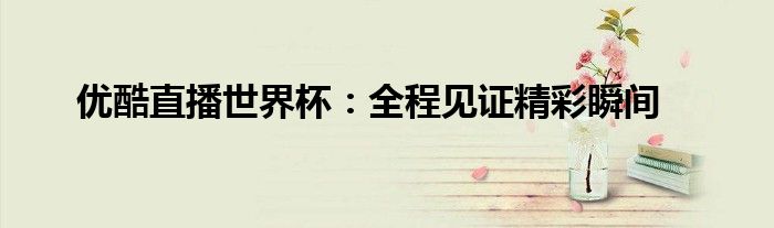 优酷直播世界杯：全程见证精彩瞬间