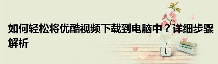如何轻松将优酷视频下载到电脑中？详细步骤解析