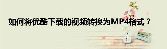 如何将优酷下载的视频转换为MP4格式？