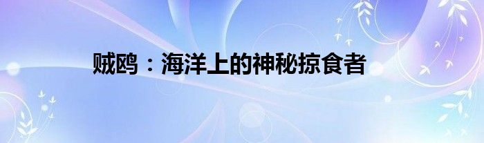 贼鸥：海洋上的神秘掠食者
