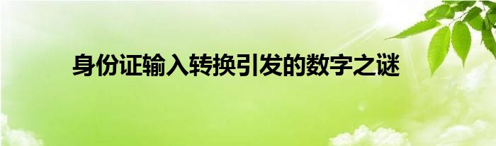 身份证输入转换引发的数字之谜