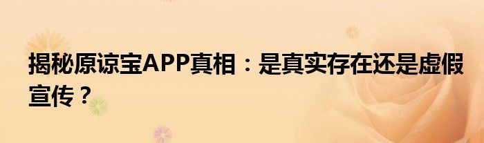 揭秘原谅宝APP真相：是真实存在还是虚假宣传？
