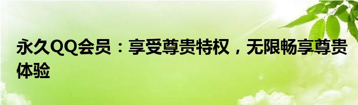 永久QQ会员：享受尊贵特权，无限畅享尊贵体验
