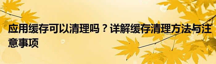 应用缓存可以清理吗？详解缓存清理方法与注意事项