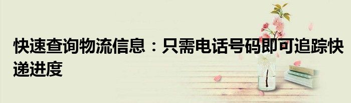 快速查询物流信息：只需电话号码即可追踪快递进度