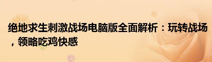 绝地求生刺激战场电脑版全面解析：玩转战场，领略吃鸡快感