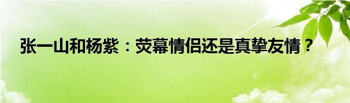 张一山和杨紫：荧幕情侣还是真挚友情？
