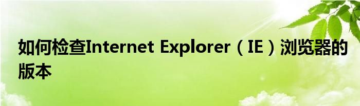 如何检查Internet Explorer（IE）浏览器的版本