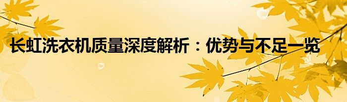 长虹洗衣机质量深度解析：优势与不足一览