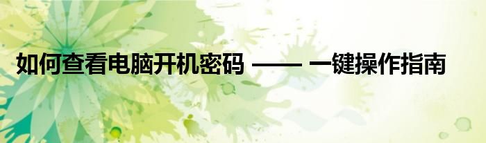 如何查看电脑开机密码 —— 一键操作指南