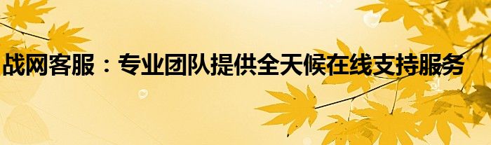 战网客服：专业团队提供全天候在线支持服务