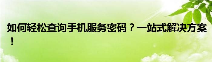 如何轻松查询手机服务密码？一站式解决方案！