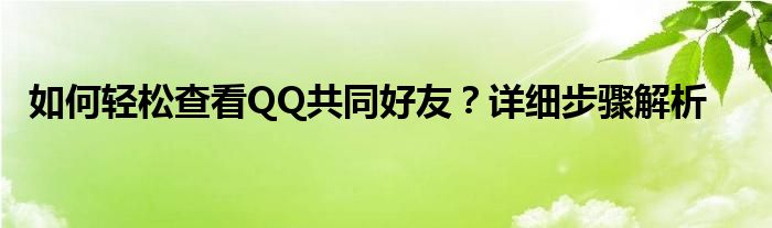 如何轻松查看QQ共同好友？详细步骤解析