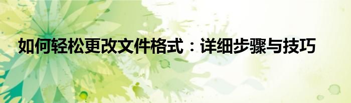 如何轻松更改文件格式：详细步骤与技巧