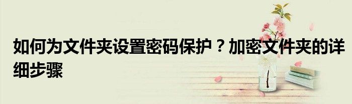 如何为文件夹设置密码保护？加密文件夹的详细步骤