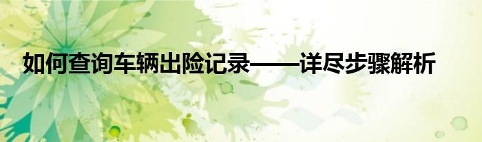 如何查询车辆出险记录——详尽步骤解析