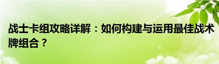 战士卡组攻略详解：如何构建与运用最佳战术牌组合？