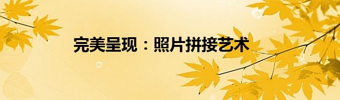 完美呈现：照片拼接艺术