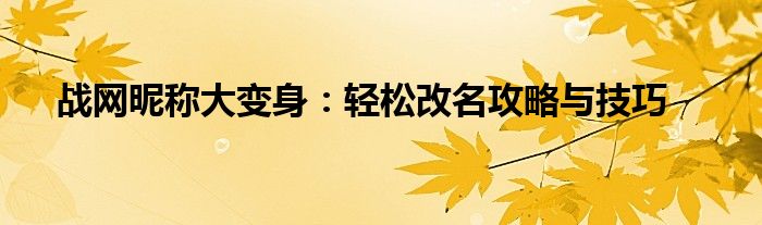 战网昵称大变身：轻松改名攻略与技巧