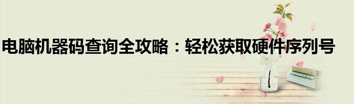 电脑机器码查询全攻略：轻松获取硬件序列号