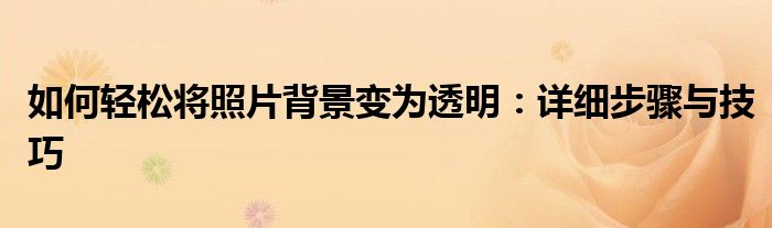 如何轻松将照片背景变为透明：详细步骤与技巧