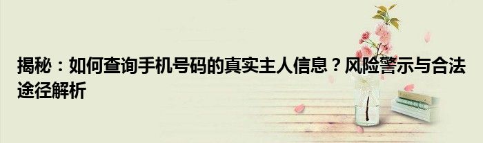揭秘：如何查询手机号码的真实主人信息？风险警示与合法途径解析