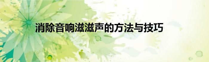 消除音响滋滋声的方法与技巧