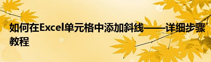 如何在Excel单元格中添加斜线——详细步骤教程