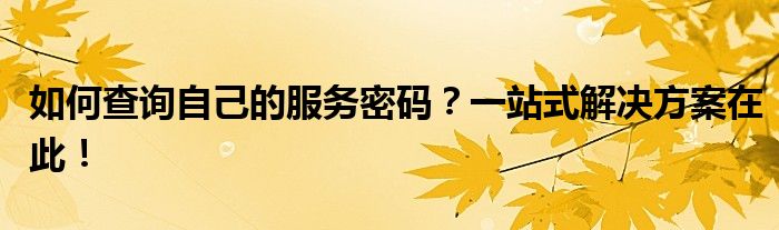 如何查询自己的服务密码？一站式解决方案在此！