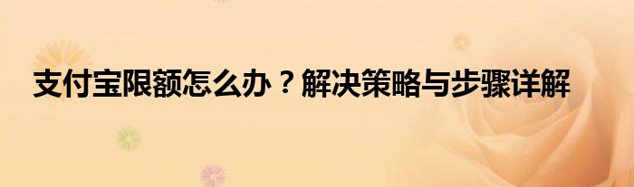 支付宝限额怎么办？解决策略与步骤详解