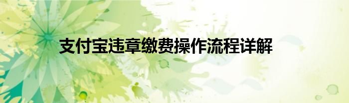 支付宝违章缴费操作流程详解