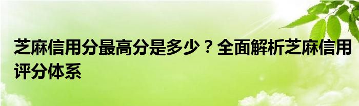 芝麻信用分最高分是多少？全面解析芝麻信用评分体系