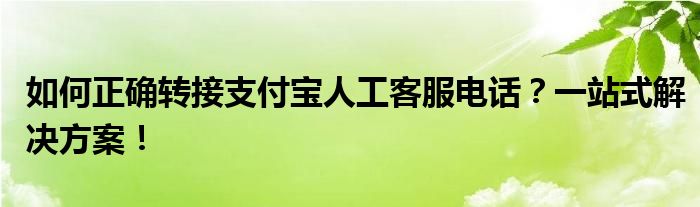 如何正确转接支付宝人工客服电话？一站式解决方案！