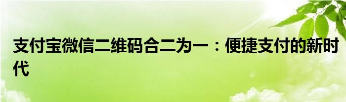 支付宝微信二维码合二为一：便捷支付的新时代